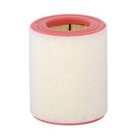 Luftfilter Mann-Filter C 16 005 FüR Vag