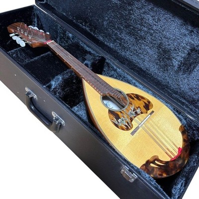 弦楽器 Raffaele Calace Figlio Classico Type 26 RAFFAELE CALACE Type26 with case | eBay