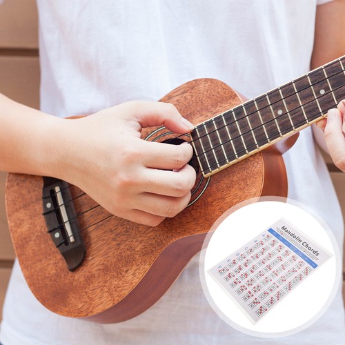 Mandolin Practice Chart Fretboard Note Chord Poster eBay