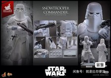 Hot Toys MMS835 Star Wars  1 6 Empire Strikes Back Snowtrooper Commander Figure