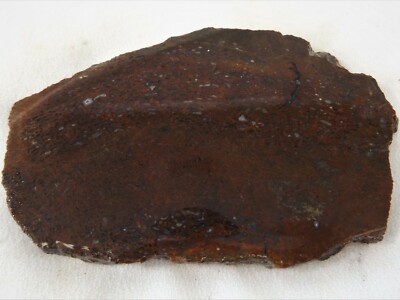 DIG-N-UTAH: SLAB DINOSAUR BONE DINO GEM FOSSIL ROUGH  # J 336