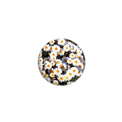 Daisy Fridge Magnet Flower Pretty Daisies Fridge or Locker Magnet Cool 1  M60-1
