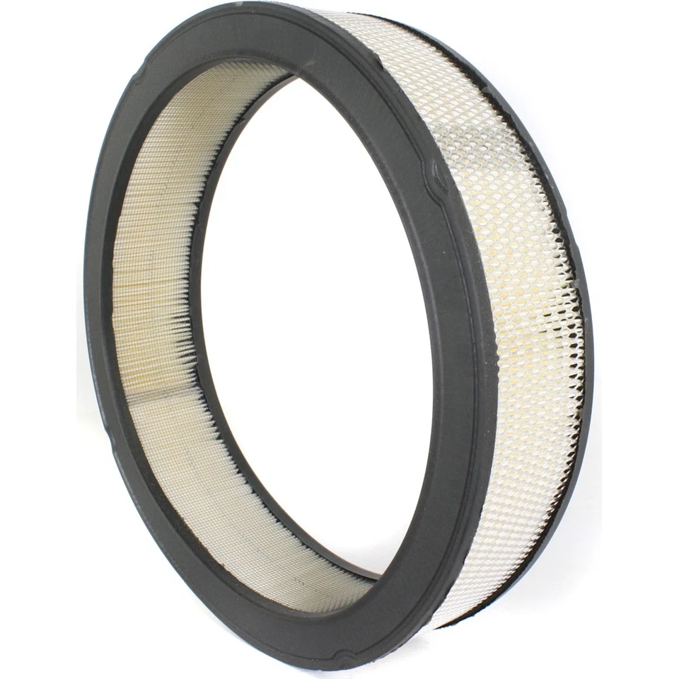 Filtro de aire A212CW AC Delco para Chevy Olds Chevrolet Biscayne Pontiac Laurentian Foto 2 de 4