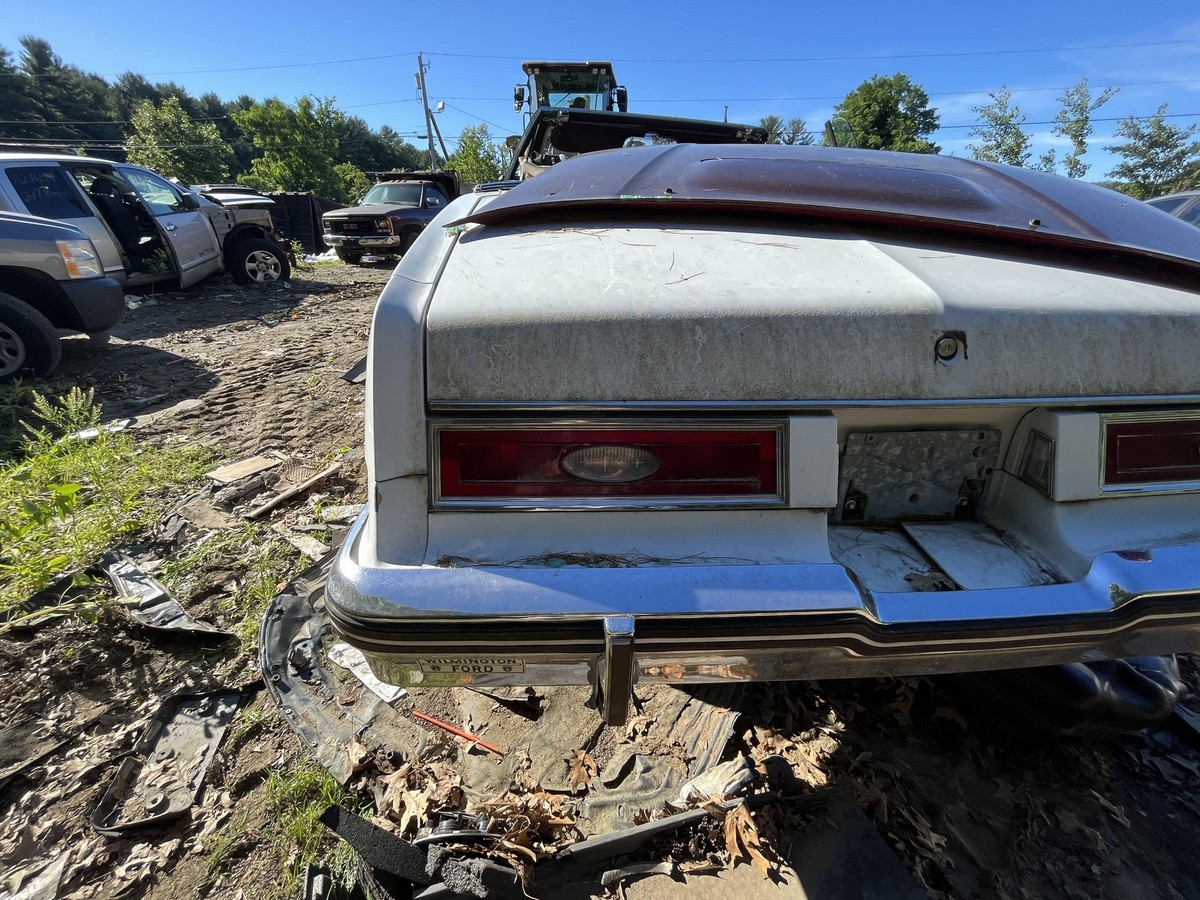 Trunk/decklid/hatch/tailgate BUICK RIVIERA 79 80 81 82 83 84 85 | eBay