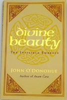 John Ph.D. O'don - Divine Beauty The Invisible Embrace - Paperba - G245Z