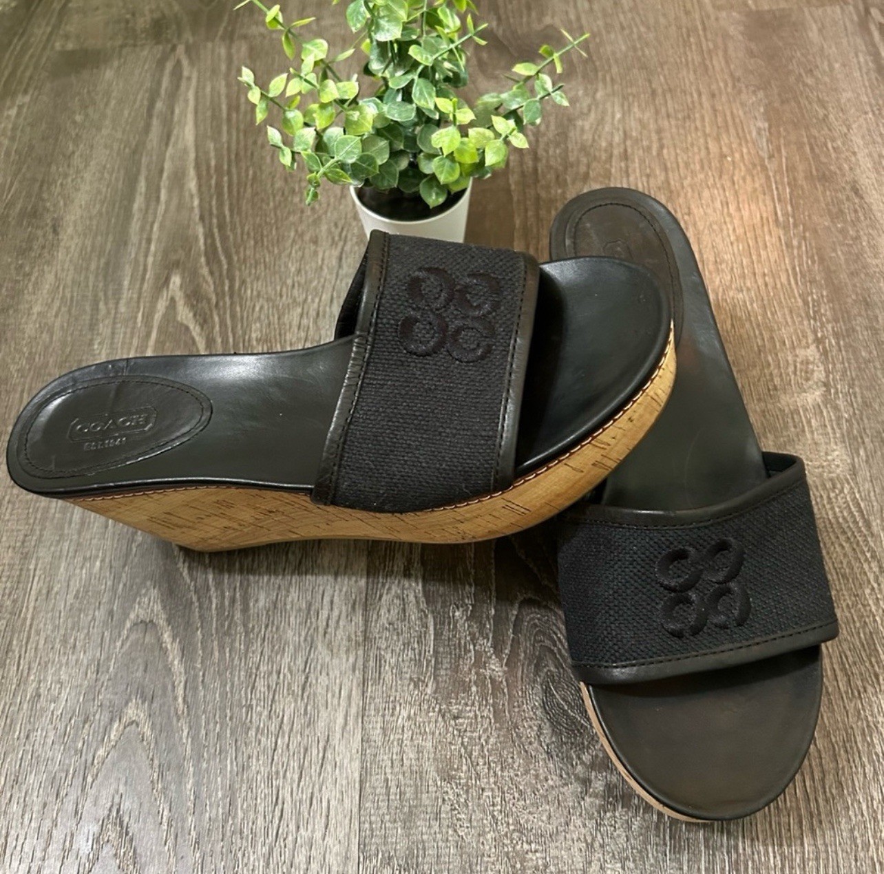 Women's Coach Wedge Heels Size 8.5 Gently Used-image