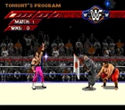WWF Wrestlemania Arcade Game - Sega Genesis Game Only