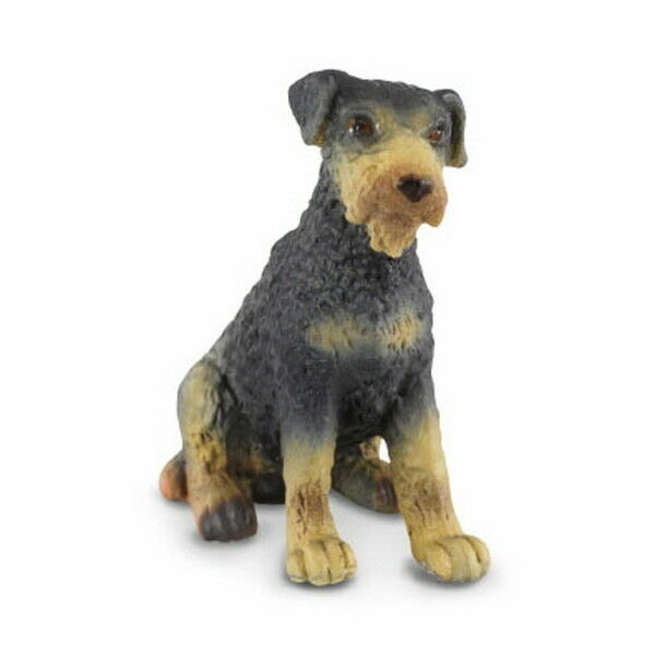 miniature airedale for sale