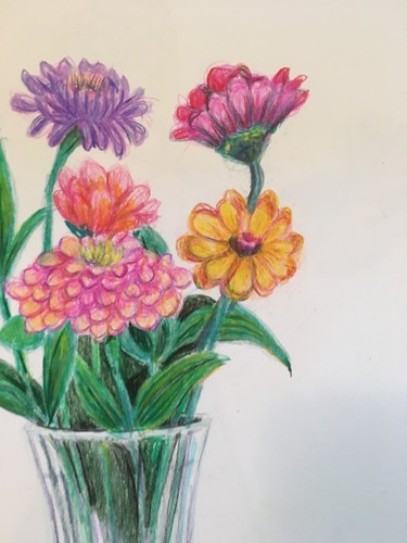 Lápiz de colores dibujo original flores de zinnia brillantes - Imagen 3 de 4