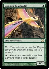 Magic MTG - Paradiesvögel - 10. Edition - EXC - DE