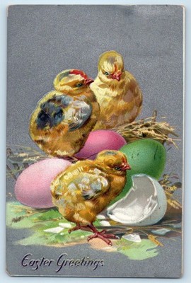 1910 Easter Greetings Chicks Hatched Egg Embossed Tuck Springfield OH Postcard