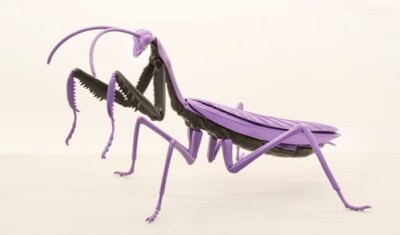 【PSL】Evangelion Crayfish Model Kit Figure Doll Fujimi Mokei first ...