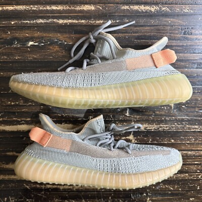 Size 10.5 - adidas Yeezy Boost 350 V2 True Form | eBay