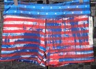IAB MFG July 4th American Flag Booty Workout Shorts size 12 XL NWT — photo 1