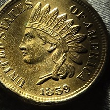  on The Hot Collector