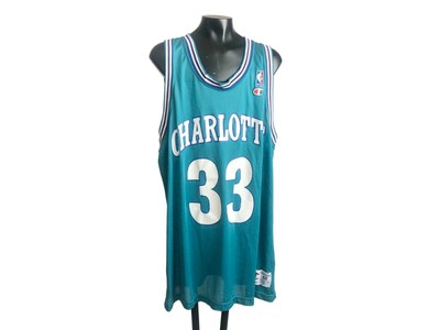 Vtg 90s Champion Charlotte Hornets Alonzo Mourning 33 Jersey Size 48 L Teal Blue Ebay