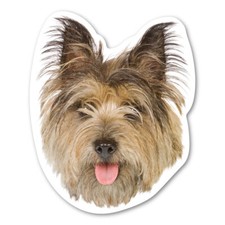 Cairn Terrier Magnet
