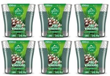 LOT OF 6 Glade PINE WONDERLAND Candle - 3.4 oz.