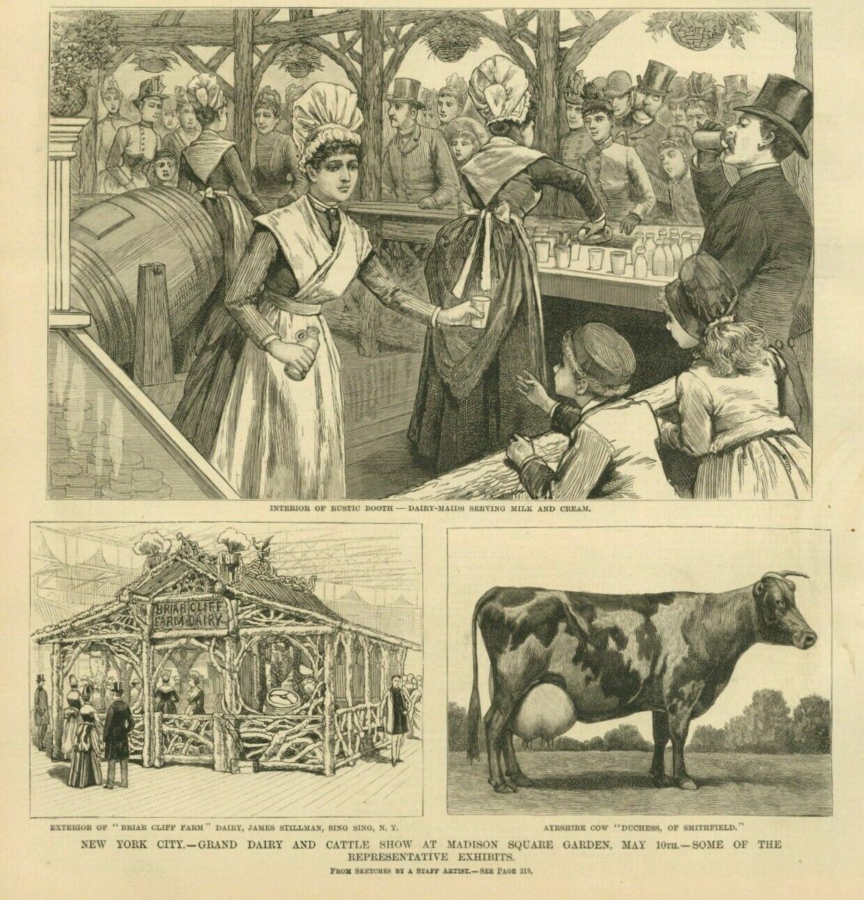 DAIRY AND CATTLE SHOW AT MADISON SQUARE GARDEN DAIRY MAIDS SERVING MILK