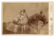 1880s Dog Rides Horse Prop C.M. Bell Washington D.C. Cabinet Photo