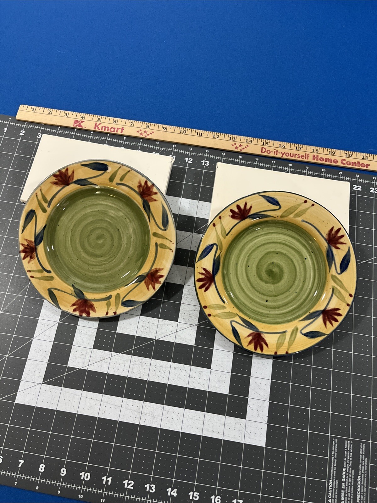 Pier 1 Elizabeth Stoneware (2) Salad Plates Hand Painted Rimmed Floral 8”