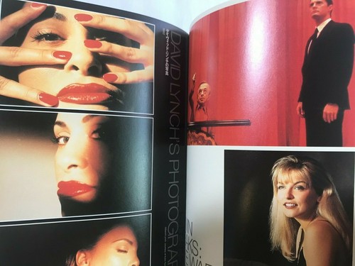 USED David Lynch Filmmakers Japan Book 1999 Photo Twin Peaks Bluw Velvet Dune - Picture 16 of 20