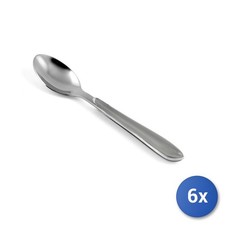 6X Stainless Steel Coffee Spoons, Gray Handle