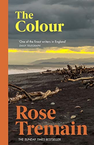 Rose Tremain - Colour - Paperback - G245Z-image