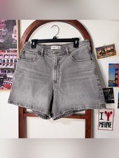 Abercrombie and Fitch Denim Grey The Dad Shorts Curve Love
