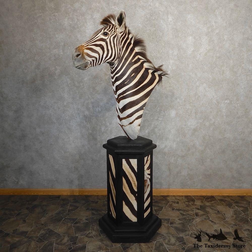 Set paard & zebra | Tweeluik - Sfeer aan de Muur