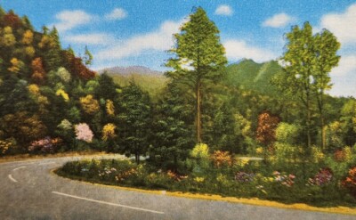Chimney Tops Loop Over Great Smoky Mountains TN Postcard