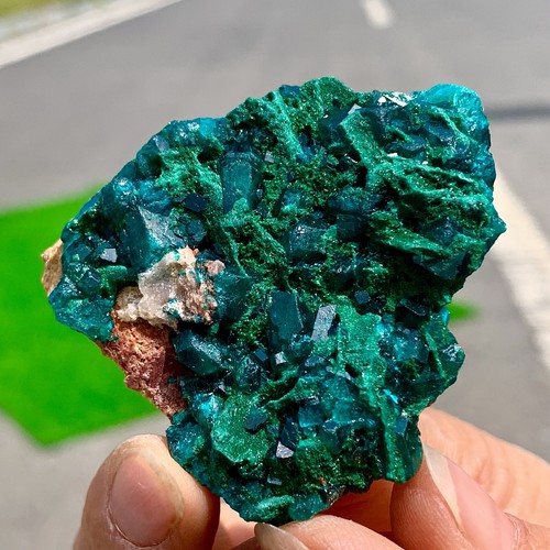 51G Natural Deep Green Grainy dioptase gemstone cluster mineral specimen - Picture 17 of 24