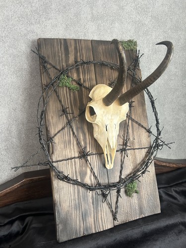 Gams Schädel Gothic Wanddeko Pentagramm Schwarz Stacheldraht Kuriosität Unikat - Bild 3 von 6
