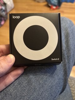 Loop Switch 2 Earplugs Silver