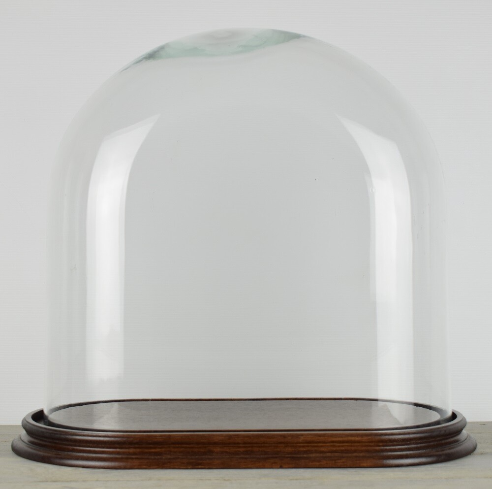 Oval Glass Dome With Wooden Base Vintage Look Large Height 35 x 36.5 x 18.5 cm