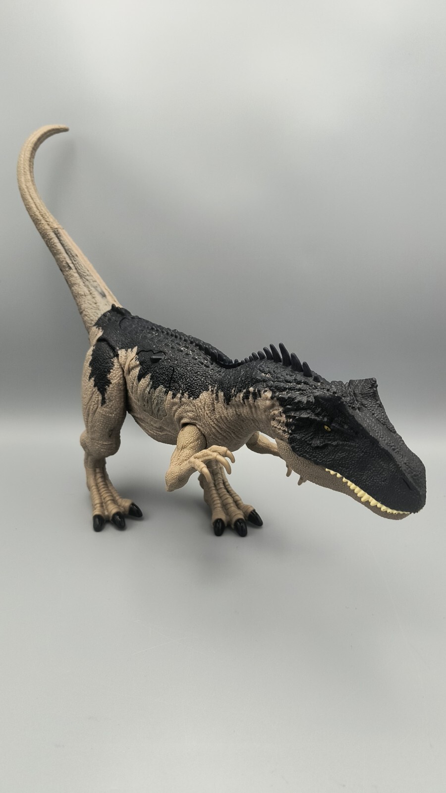 Picture 3 of 10