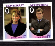 EFO Montserrat SN 615a-b Imperf - missing value 1986 (Planned Error-See Descr)