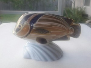 Lot - A ROYAL CROWN DERBY TROPICAL FISH 'GOURAMI' PAPERWEIGHT
