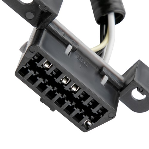 Stand Alone Harness Kit For Corvette CTS-v LS1 LS6 1997-2004 New - Imagen 7 de 11