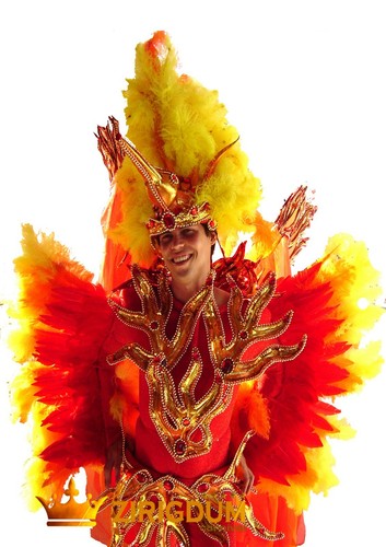 Bird man fancy dress, male halloween costumes 2022, fancy outfits for guys - Picture 5 of 7
