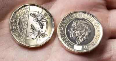 Close up Magic King Charles £1 Coin Magic Split Coin - Coin thru Bag