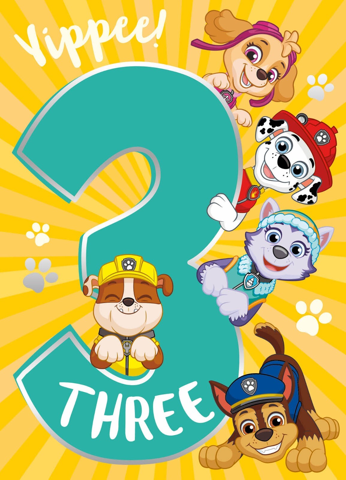 3rd Birthday Card Paw Patrol Age 3 Greeting Card Paw Envelope Included FSC