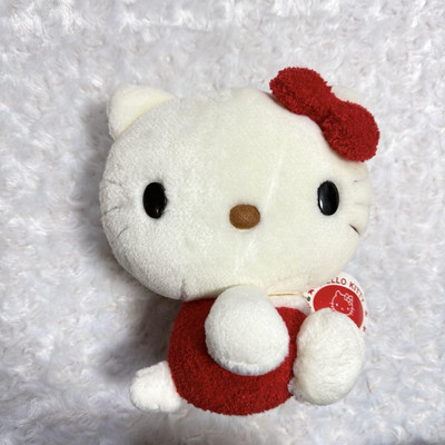 Rare Hello Kitty '70s Kitty Reprint Plush Retro | eBay