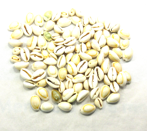 Vintage Cowrie Shell Beads Lot, 97 Beads, Various Sizes, Estate CS5