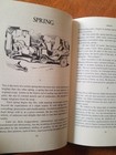 Picture 9 of 10
