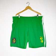 Polo by Ralph Lauren Green Men's Swim Shorts Size XXL