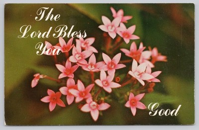1977 The Lord Bless You Good Floral Photo Postcard I Thessalonians 3:13