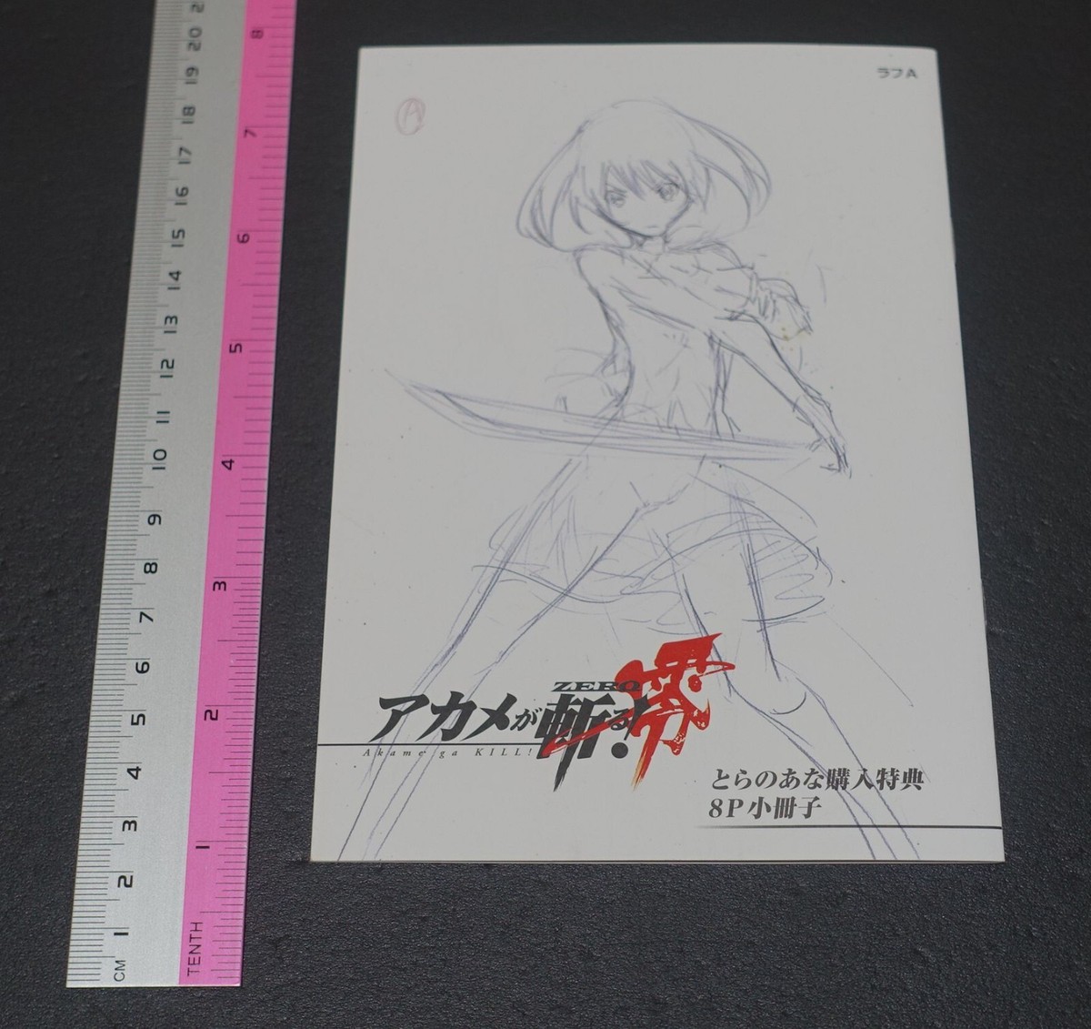 Akame ga Kill! Zero Rough Illustration Art Mini Booklet E 8page | eBay