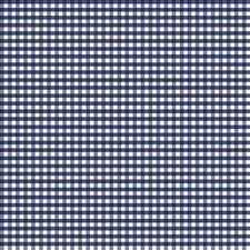 Riley Blake Designs Gingham Navy C440-21
