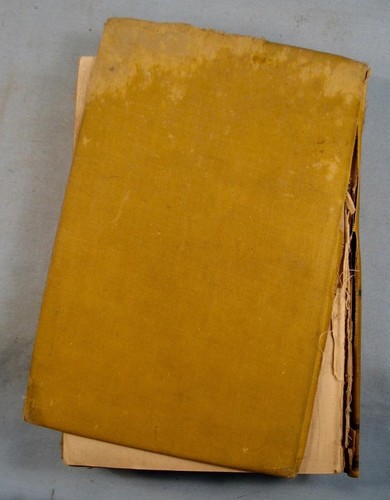 The Sky Pilot A Tale Of The Foothills Antique Book 1900 Ralph Connor (O) AS IS - Picture 2 of 11